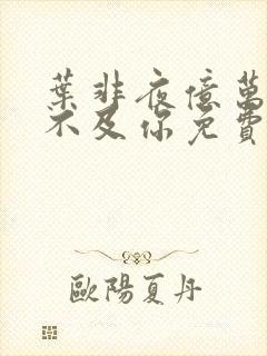 叶非夜亿万星辰不及你免费阅读全本