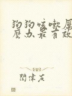 狗狗咳嗽厉害怎么办最有效