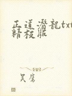正道潜龙txt精校版