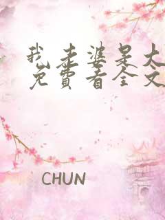 我老婆是大明星免费看全文