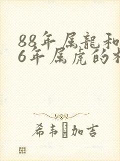 88年属龙和86年属虎的相配吗