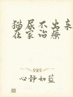 猫尿不出来怎么在家治疗