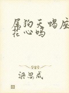 属狗天蝎座男人花心吗