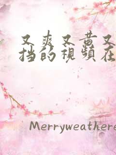 又爽又黄又无遮挡的视频在线观看