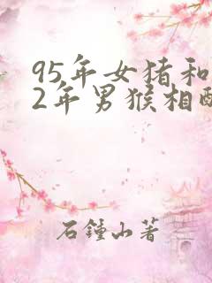 95年女猪和92年男猴相配婚姻如何