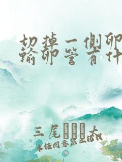 切掉一侧卵巢和输卵管有什么影响