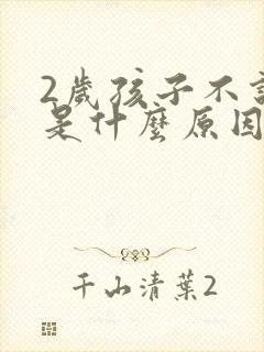 2岁孩子不说话是什么原因引起的