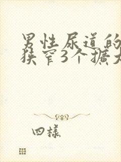 男性尿道的3个狭窄3个扩大2个弯曲