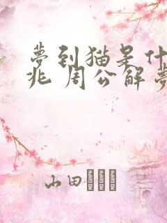 梦到猫是什么征兆 周公解梦