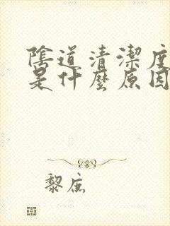 阴道清洁度2度是什么原因