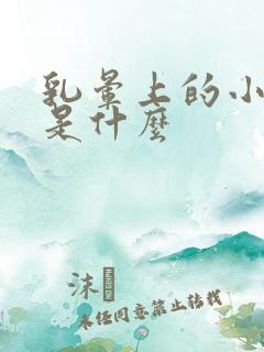 乳晕上的小疙瘩是什么