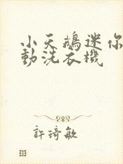 小天鹅迷你全自动洗衣机