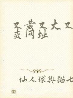 又黄又大又硬又爽网址