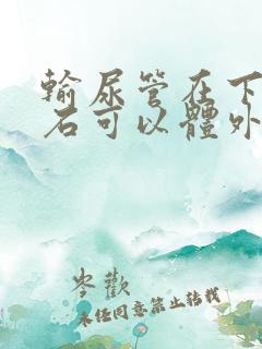 输尿管在下段结石可以体外碎石吗