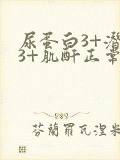 尿蛋白3+潜血3+肌酐正常