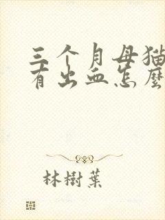 三个月母猫小便有出血怎么办