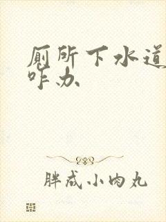 厕所下水道堵了咋办