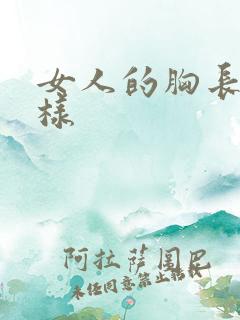 女人的胸长什么样