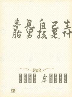 梦见自己生双胞胎男孩是什么意思