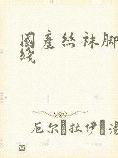 国产丝袜脚交在线