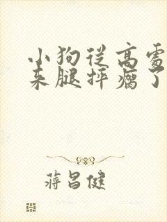 小狗从高处掉下来腿摔瘸了怎么办