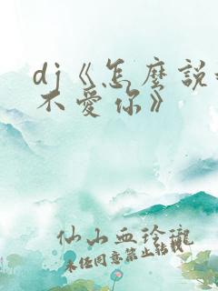 dj《怎么说我不爱你》