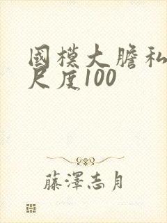 国模大胆私照大尺度100