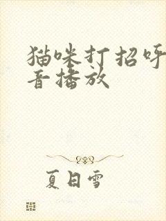 猫咪打招呼的声音播放