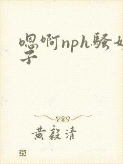 嗯啊nph骚奶子