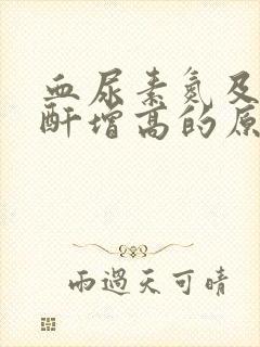 血尿素氮及血肌酐增高的原因