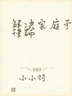 解决家庭矛盾的律师