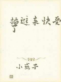 插进来快受不了了