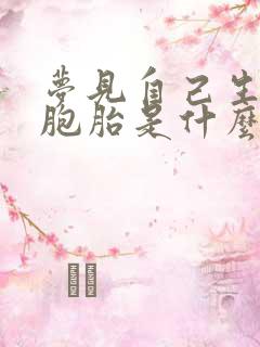 梦见自己生了双胞胎是什么预兆解梦