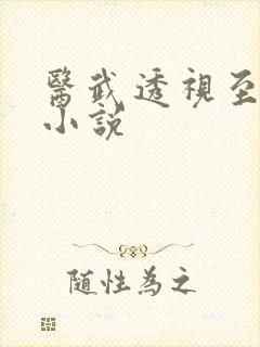 医武透视至尊 小说