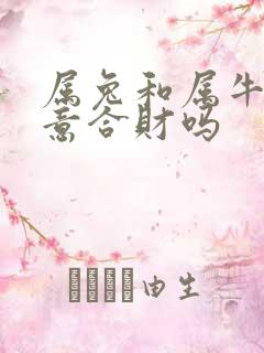 属兔和属牛做生意合财吗