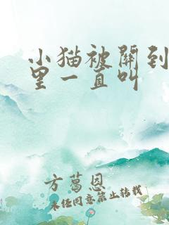 小猫被关到笼子里一直叫