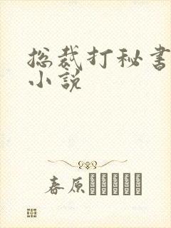 总裁打秘书屁股小说