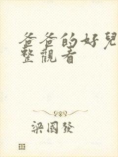 爸爸的好儿子完整观看