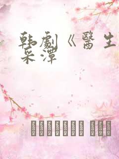 韩剧《医生》李采潭