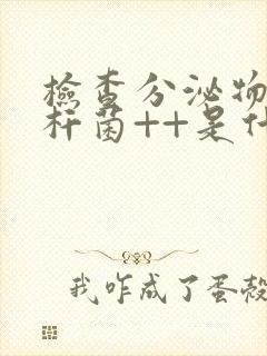 检查分泌物g+杆菌++是什么意思