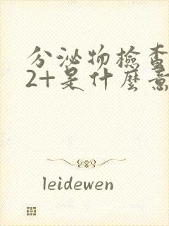 分泌物检查杆菌2+是什么意思