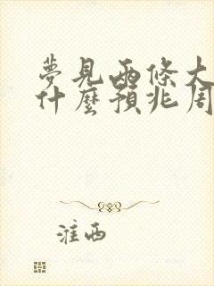 梦见两条大蛇是什么预兆周公解梦