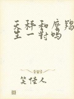 天秤和摩羯是天生一对吗