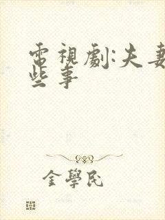 电视剧:夫妻那些事