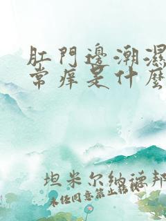 肛门边潮湿又经常痒是什么原因