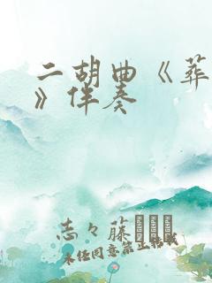 二胡曲《葬花吟》伴奏