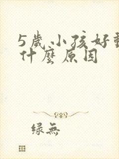 5岁小孩好动是什么原因