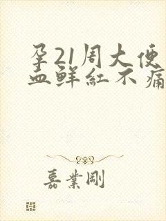 孕21周大便出血鲜红不痛