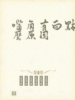 嘴角有白点是什么原因