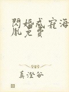 闪婚成宠海彤战胤免费